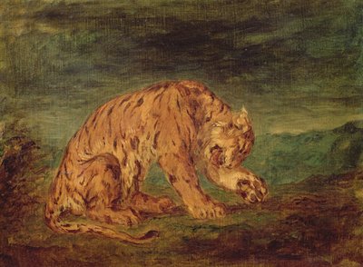 Tigre che lecca una zampa da Ferdinand Victor Eugene Delacroix